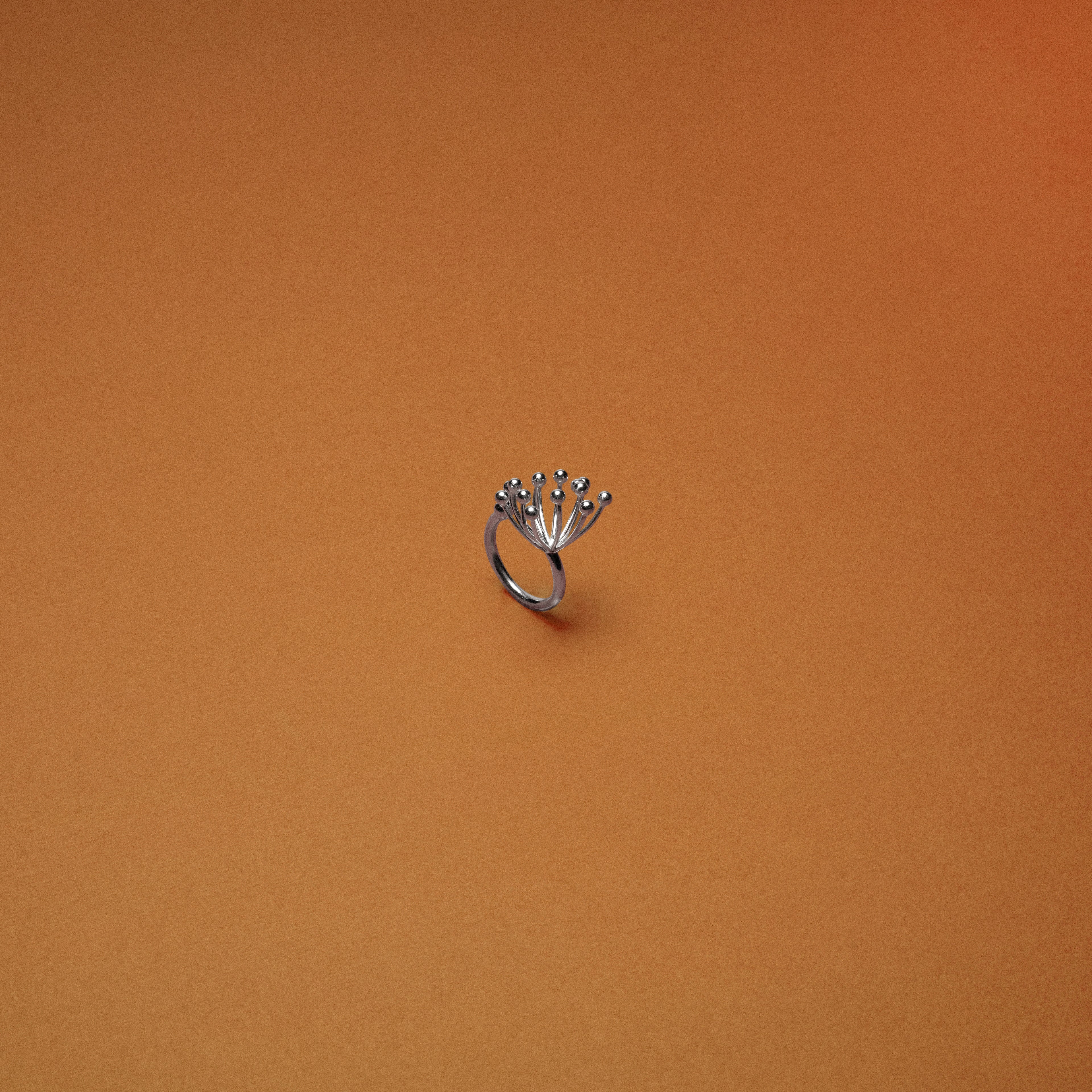 Ring Dill