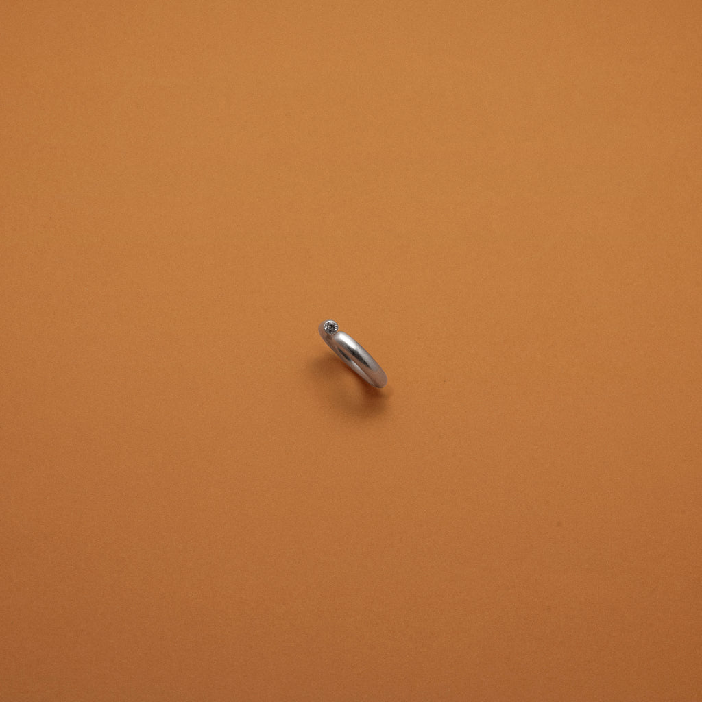 Ring Orbit